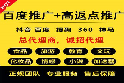 行业领先企业如何运用SEM运营推广
